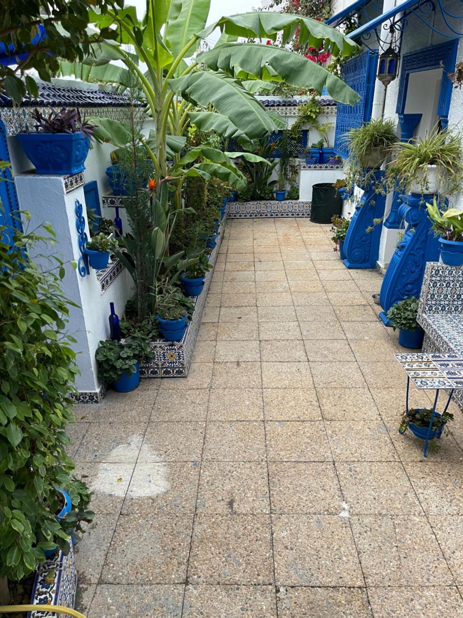 The Blue And White Perle Villa Sidi Bou Ali Exterior foto