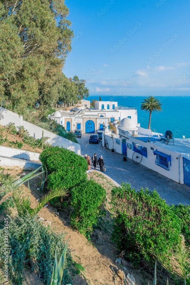 The Blue And White Perle Villa Sidi Bou Ali Exterior foto